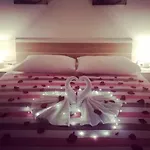 Arija *