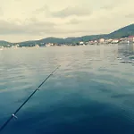 Arija